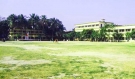 Main